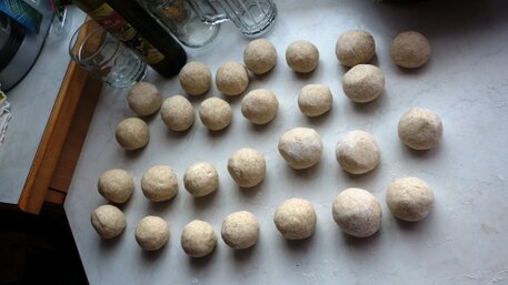 Selbstgemachte Marillenknödel Frischt zubereitete Aprikosenknödel aus Dinkelmehl